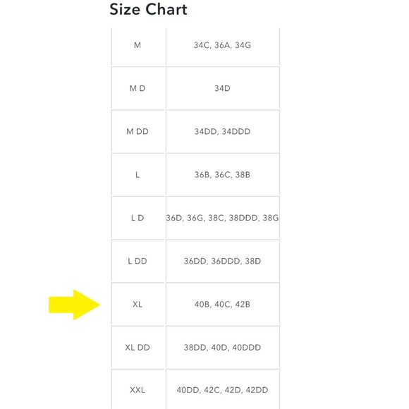 Aerie Eyelash Lace Padded Plunge Bralette– Size XL - Picture 7 of 8